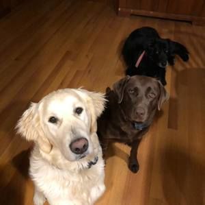 Meet your Posher, Colleen